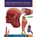 Muskuloskelettales Anatomie-Arbeitsbuch zum Ausmalen: Unglaublich detailliertes Muskelanatomie-Arbeitsbuch zum Ausmalen mit Selbsttest Das perfekte Ge