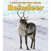 Reindeer
