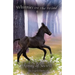Spring of Secrets: A Wilderness Horse Adventure