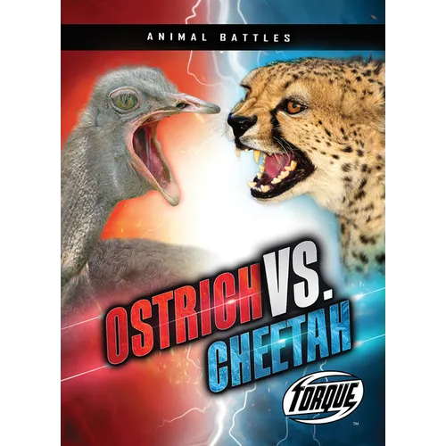 Ostrich vs. Cheetah