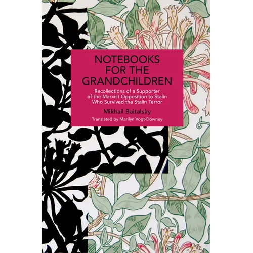 Notebooks for the Grandchildren: Recollections of a Supporter of the Marxist Opposition to Stalin Who Survived the Stalin Terror - Paperback