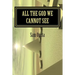 All The God We Cannot See: Why There Is God