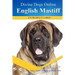 English Mastiff