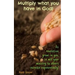 Multiply What You Have in God!: As Revelation Grows in You, So Will Your Ministry to Others Increase Exponentially!