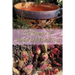 The Essence of Herbal and Floral Teas
