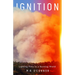 Ignition: Lighting Fires in a Burning World