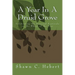 A Year In A Druid Grove: Celebrating the Seasonal Festivals on the Wheel of the Year