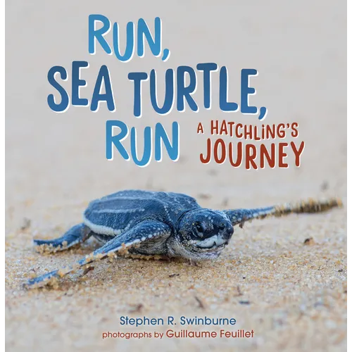 Run, Sea Turtle, Run: A Hatchling's Journey