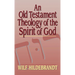 An Old Testament Theology of the Spirit of God