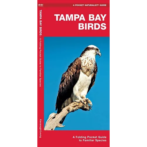 Tampa Bay Birds: A Folding Pocket Guide to Familiar Species