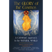 The Glory of the Cosmos: A Catholic Approach to the Natural World