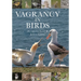 Vagrancy in Birds