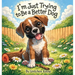 I'm Just Trying to Be a Better Dog