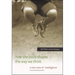 How the Body Shapes the Way We Think: A New View of Intelligence