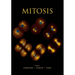 Mitosis