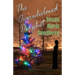 The Overwhelmed Prophet