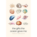 The Gifts the Ocean Gave Me: A Collection of Poems