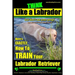 Think Like a Labrador, But Don't Eat Your Poop! Labrador Breed Expert Dog Training: Here's Exactly How to Train Your Labrador