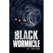 The Black Wormhole