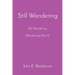Still Wandering: Still Wondering (Wanderings Part 4)