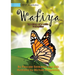 Wafiya - The Story Of A Little Caterpillar