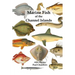 Marine Fish of the Channel Islands