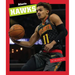 Atlanta Hawks