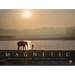 Magnetic: Humanity and the Asian Elephant