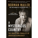 A Mysterious Country: The Grace and Fragility of American Democracy