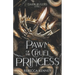Pawn of the Cruel Princess: (Standalone)