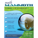 Math Mammoth Grade 1-B Worktext