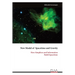 New Model of Spacetime and Gravity: How Simplices and Information Build Spacetime