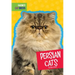 Persian Cats