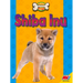 Shiba Inu
