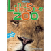 More Life-Size Zoo: Lion, Hippopotamus, Polar Bear and More--An All New Actual-Size Animal Encyclopedia