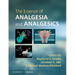 The Essence of Analgesia and Analgesics