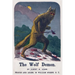 The Wolf Demon: or, The Queen of Kanawha