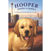 Hooper Finds a Family: A Hurricane Katrina Dog's Survival Tale