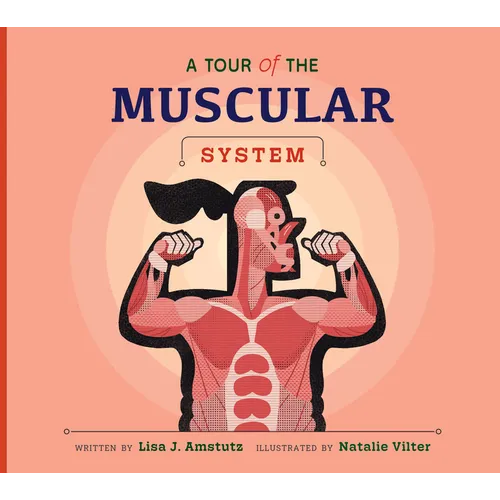 A Tour of the Muscular System