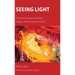 Seeing Light: A Critical Enquiry into the Origins of Resurrection Faith
