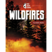 Wildfires