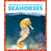 Seahorses