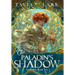 The Paladin's Shadow