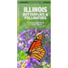 Illinois Butterflies & Pollinators: A Folding Pocket Guide to Familiar Species