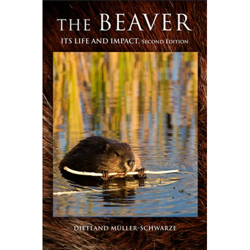 The Beaver: Natural History of a Wetlands Engineer