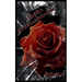 A Deaf Rose Climbs from a Broken World