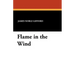 Flame in the Wind