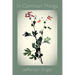 In Common Things