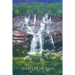 Falling Springs: A novel based on a true story