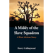 A Middy of the Slave Squadron: A West African Story